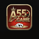 A55 Game